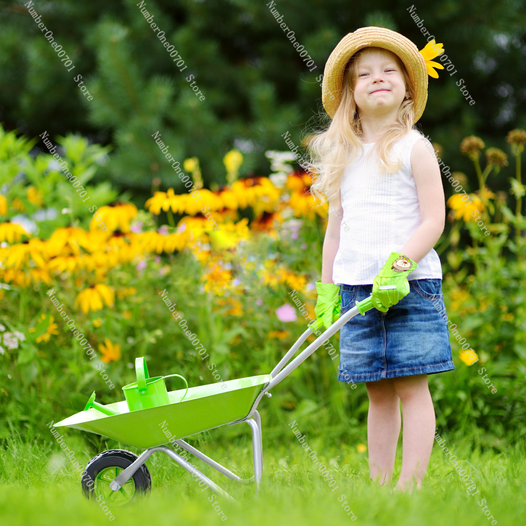 Детская уличная тачка, зеленый – обзор и цена Kids Outdoor Set